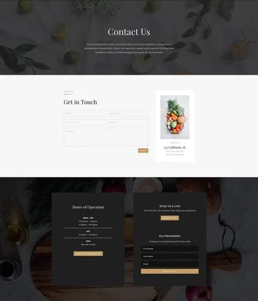 Restaurant WordPress template - contact layout preview